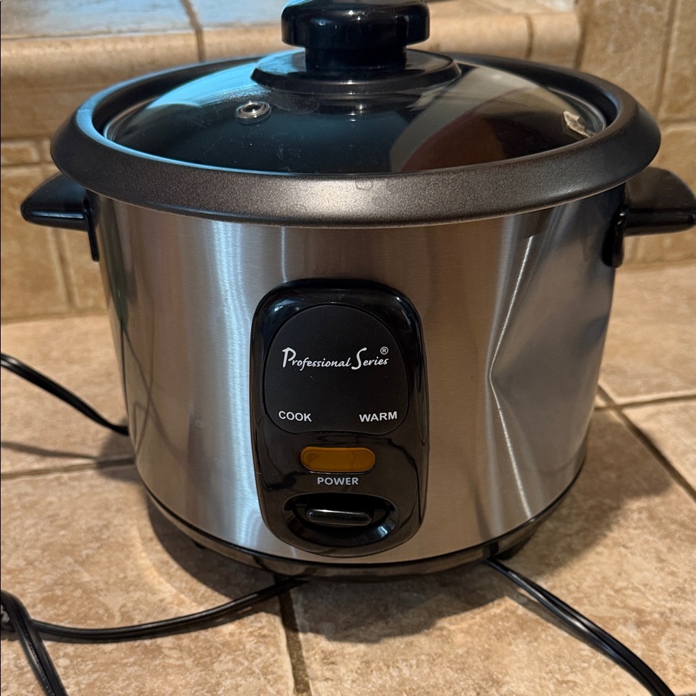 Professional Series Stainless Steel 6-cup Slow Rice Cooker - Silver